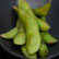 Salades