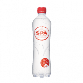 SPA bruiswater 50cl