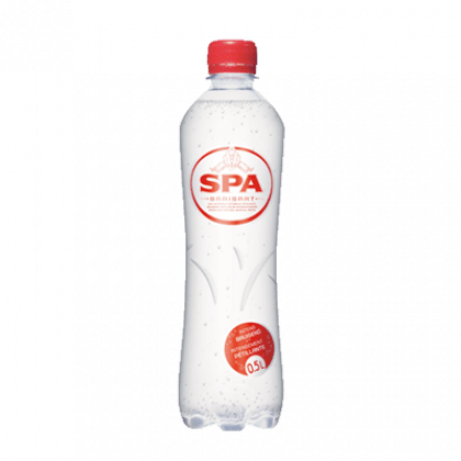 SPA bruiswater 50cl