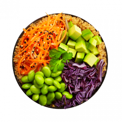 Poke Bowl Veggie