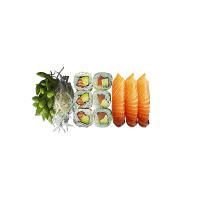 just-salmon